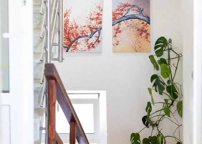 Vintage Spartium With Free Parking Makarska