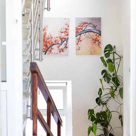 Vintage Spartium With Free Parking Makarska